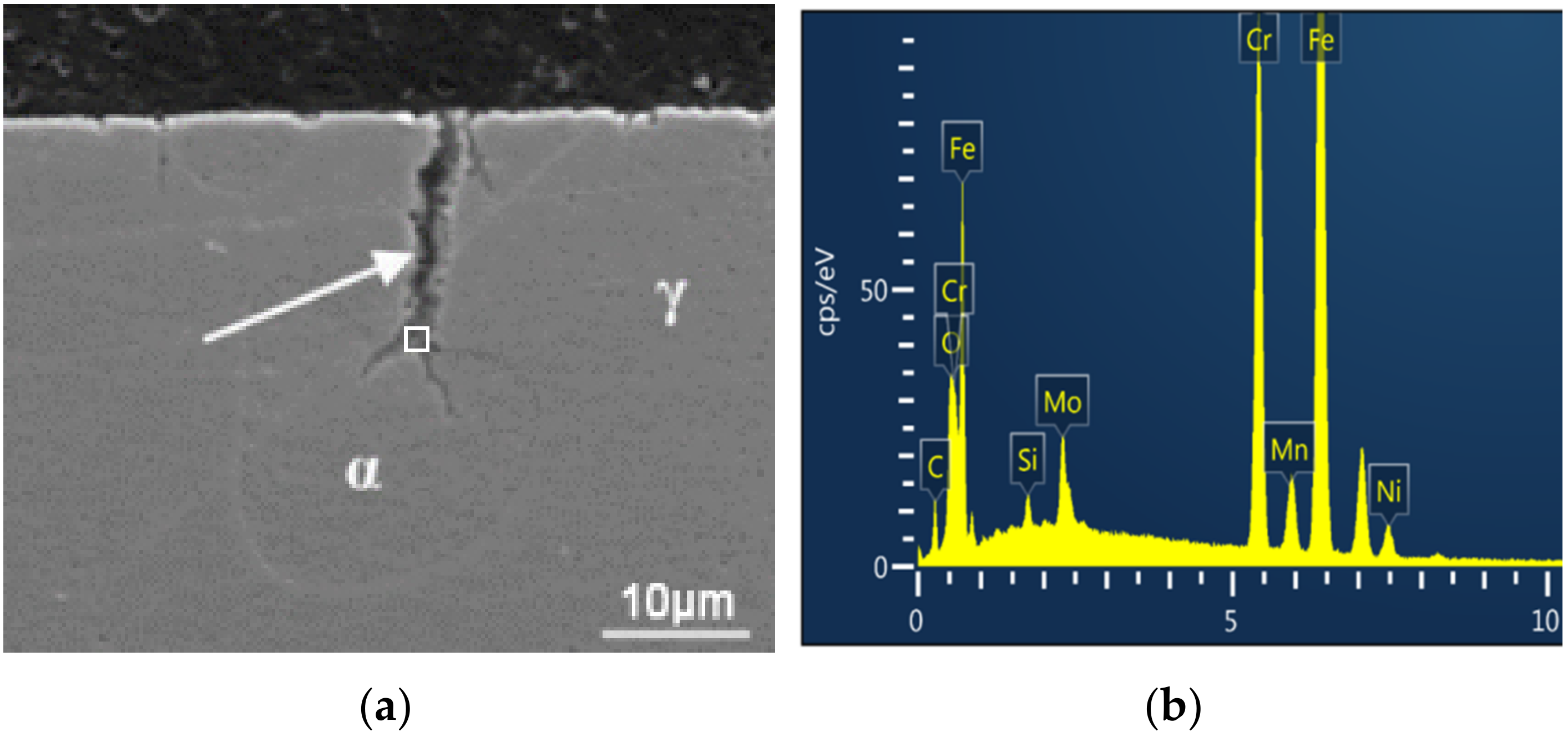 Coatings 12 00317 g009 Coatings 12 00317 g009