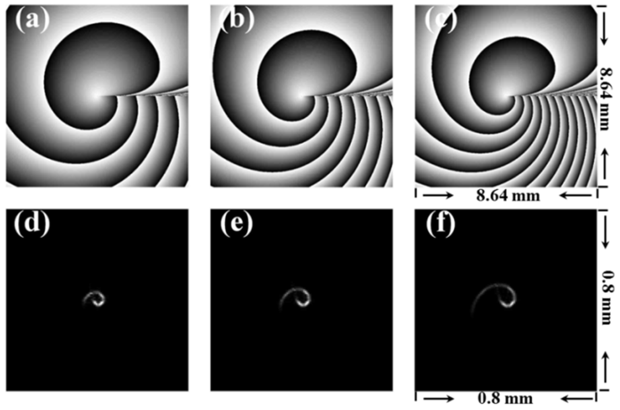 Coatings 12 00322 g001