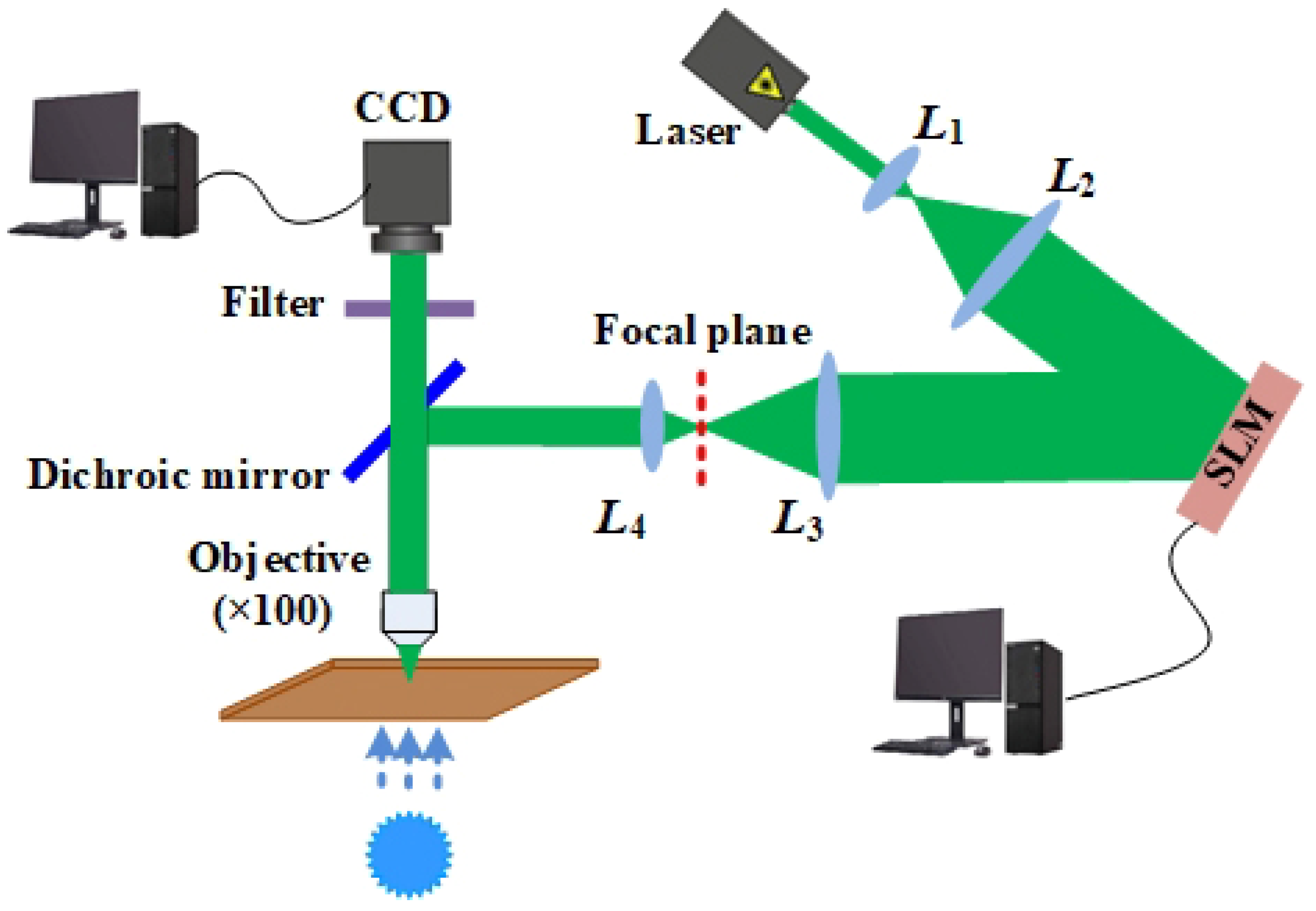 Coatings 12 00322 g005