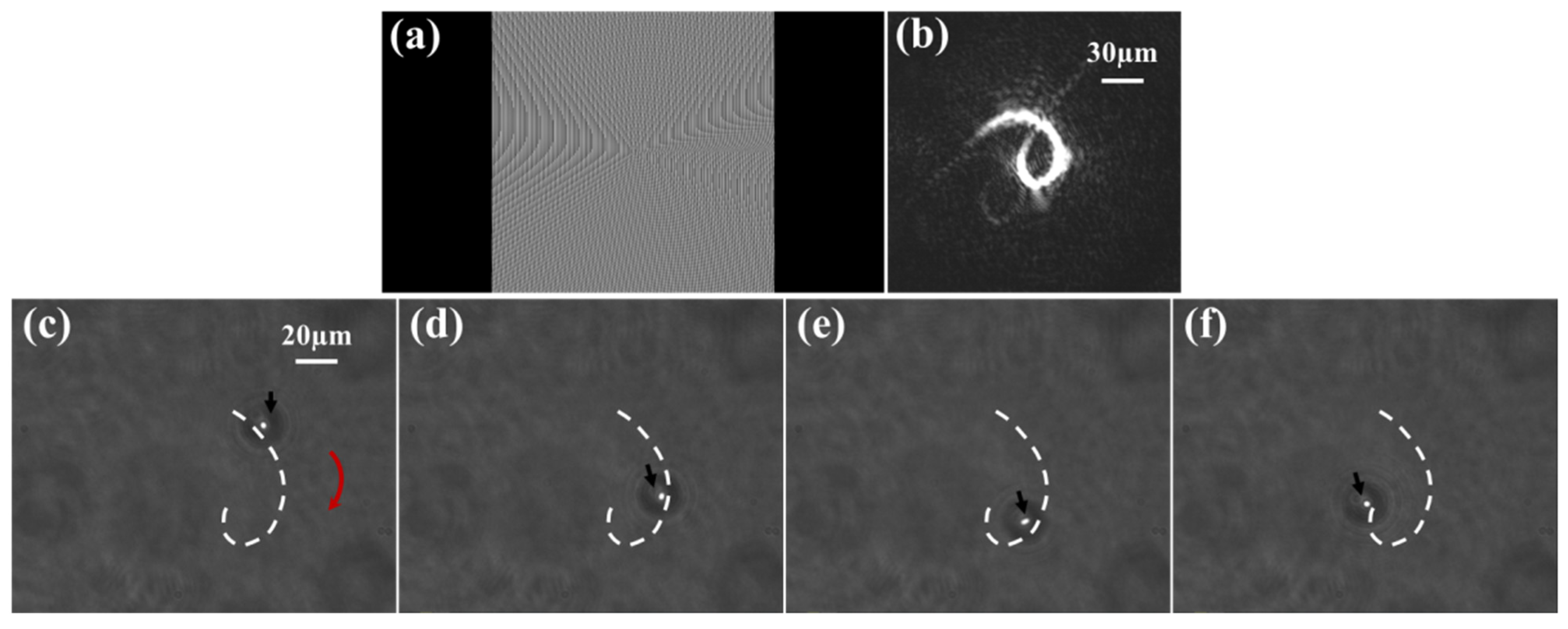 Coatings 12 00322 g008