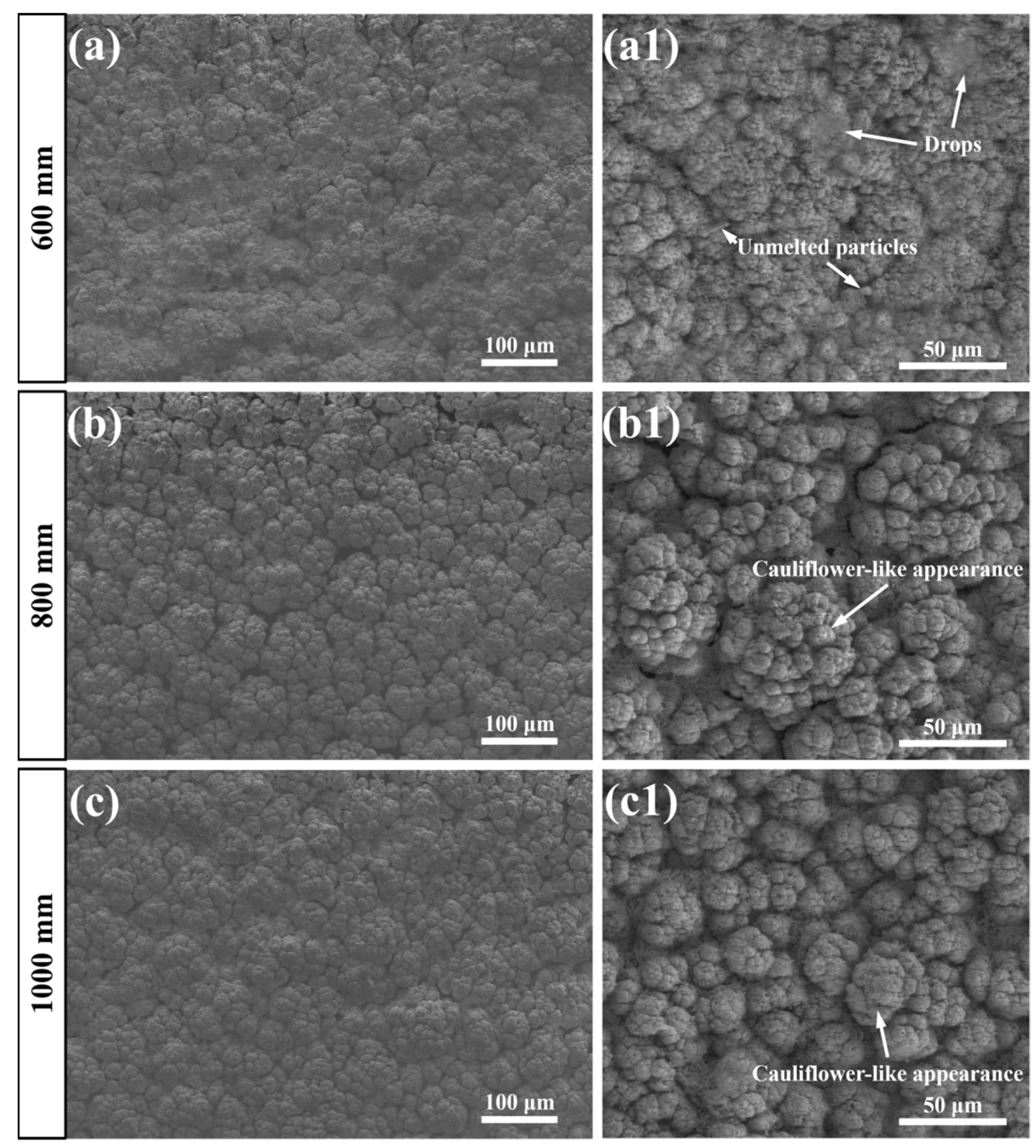 Coatings 12 00323 g003 550