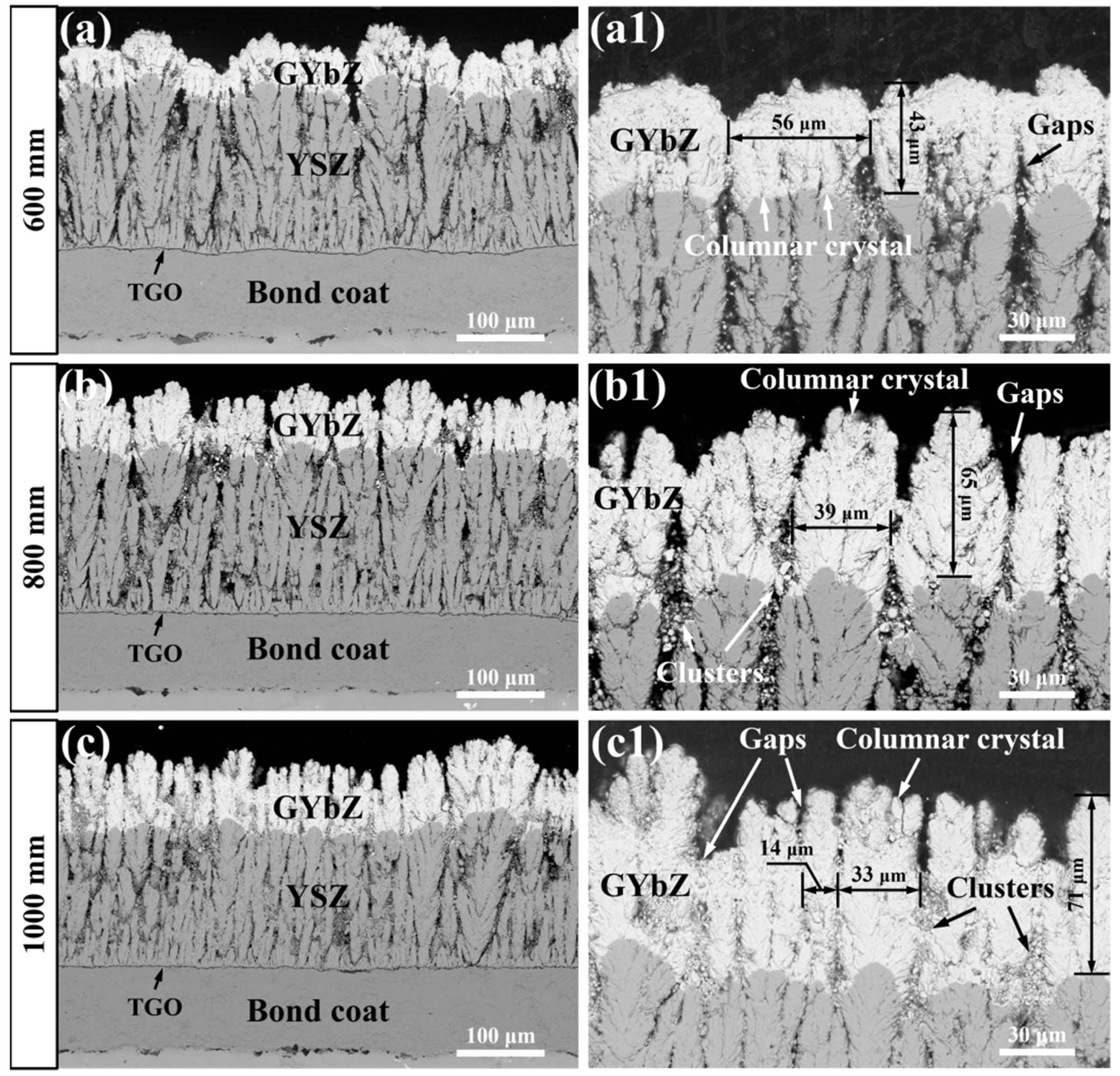 Coatings 12 00323 g004 550