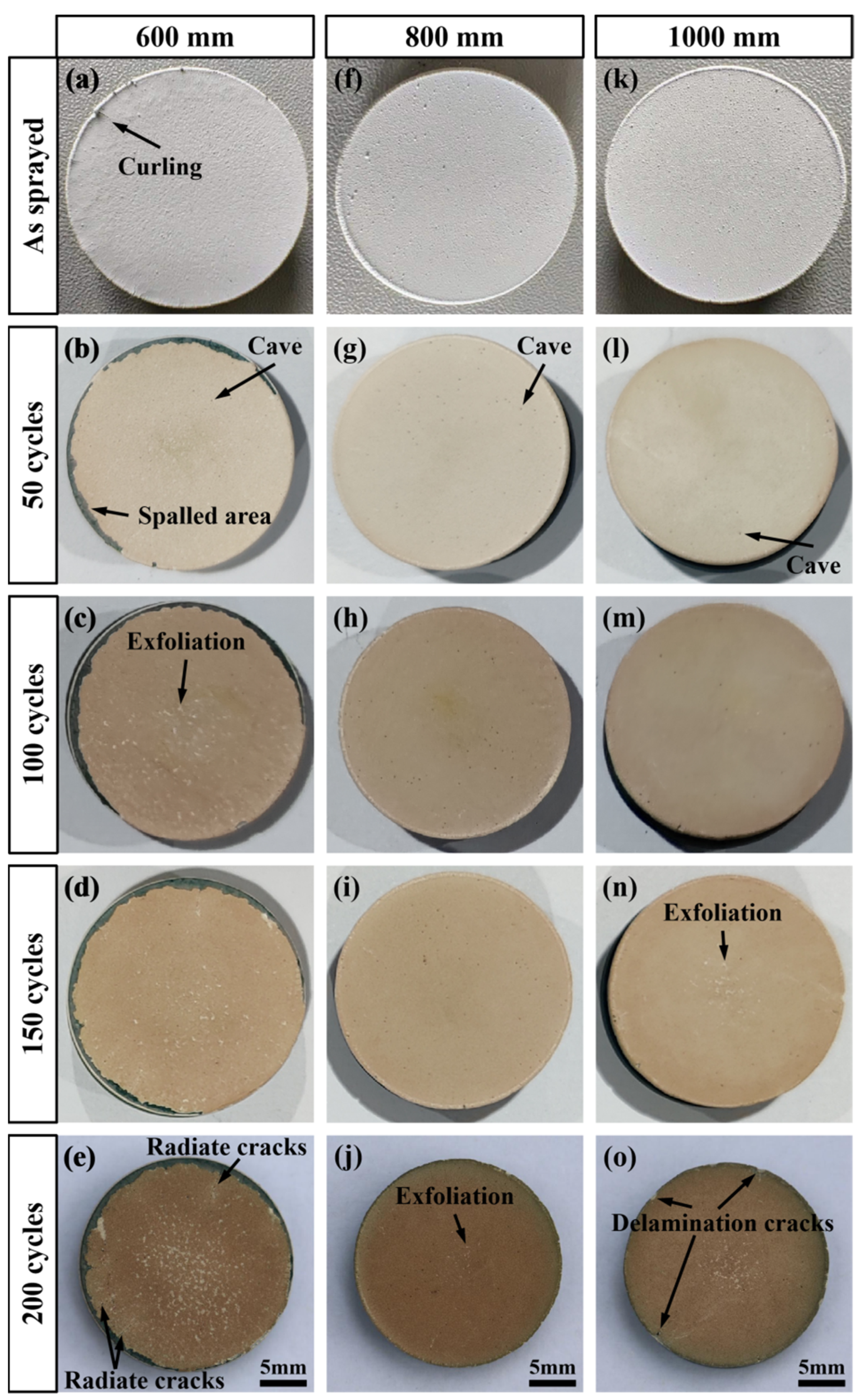 Coatings 12 00323 g005 550