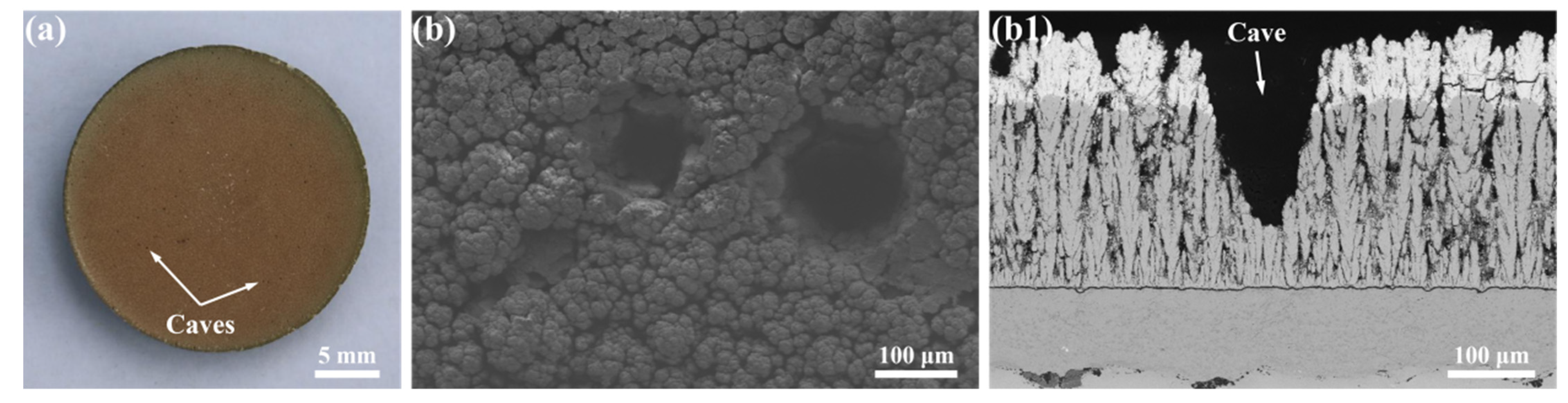 Coatings 12 00323 g006 550