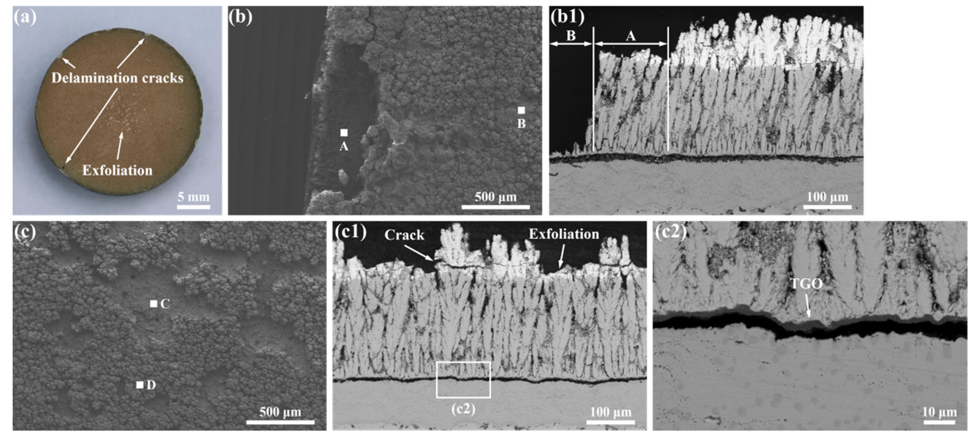 Coatings 12 00323 g007 550