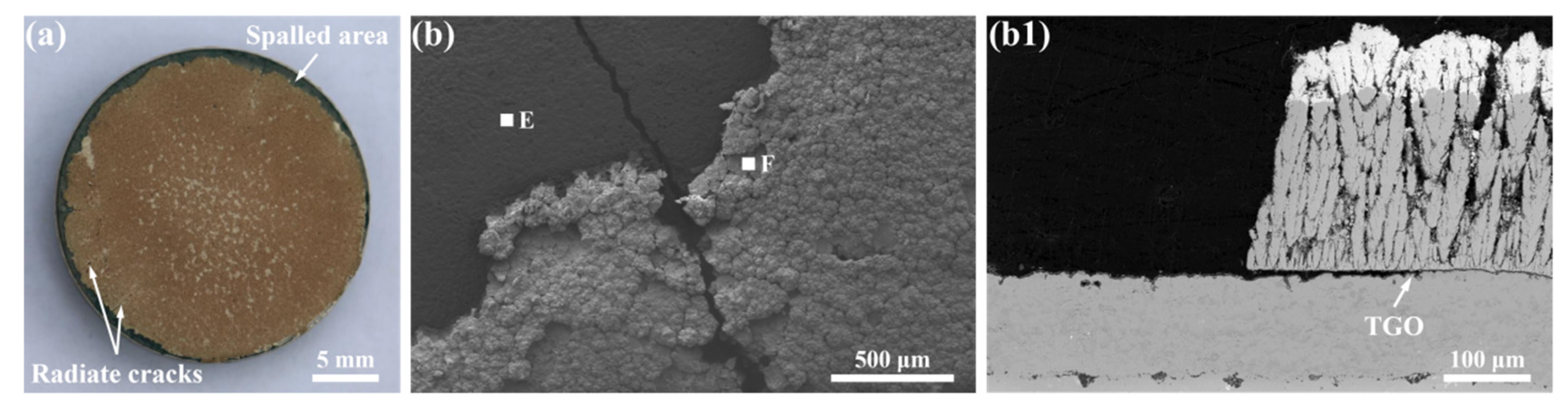 Coatings 12 00323 g008 550