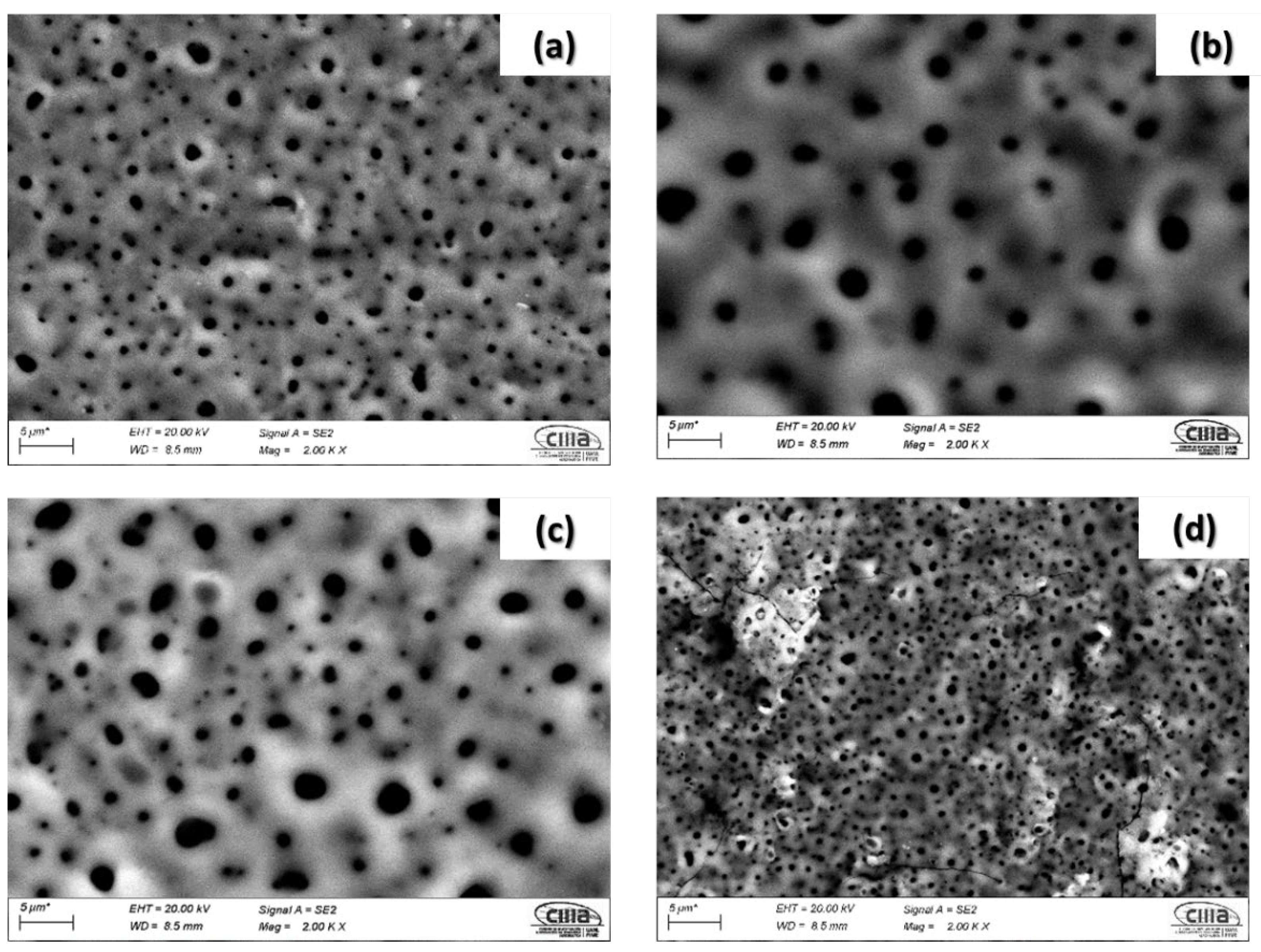 Coatings 12 00325 g004 550