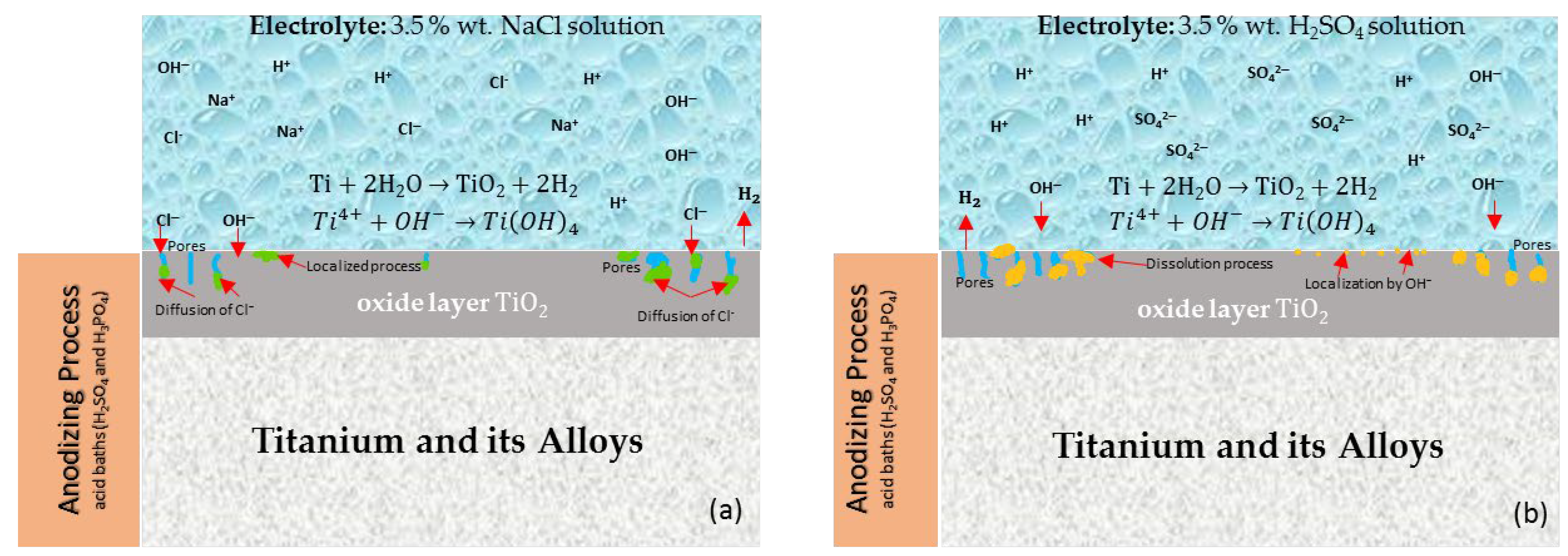 Coatings 12 00325 g014 550