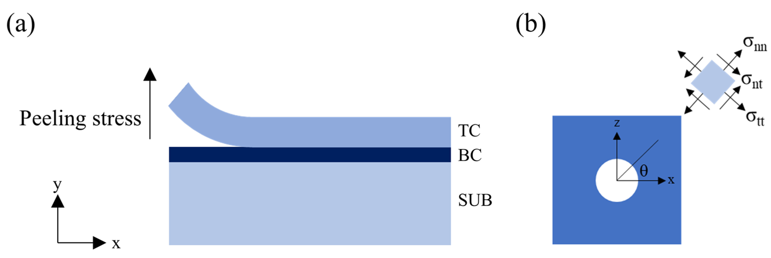 Coatings 12 00326 g010 550