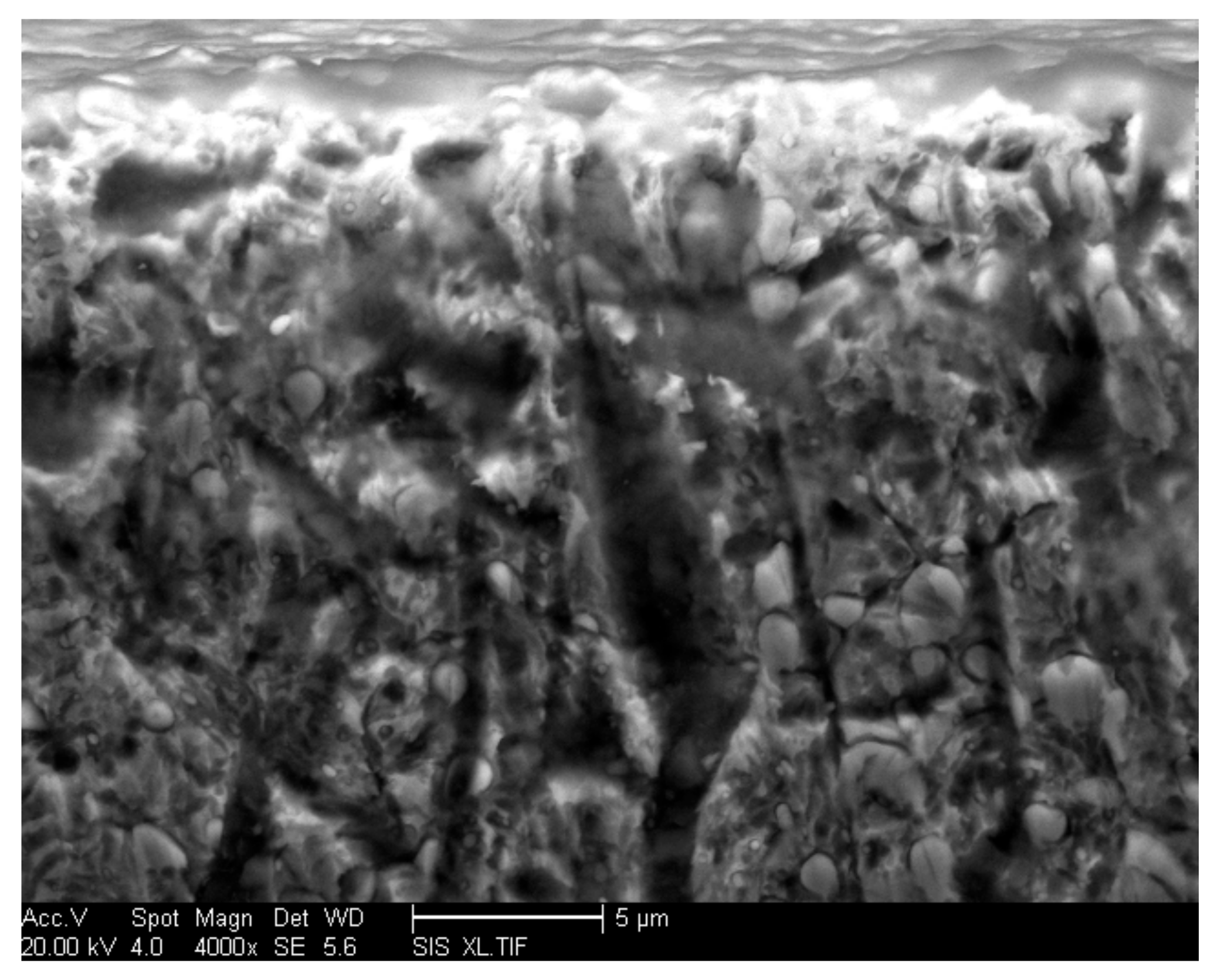 Coatings 12 00327 g002