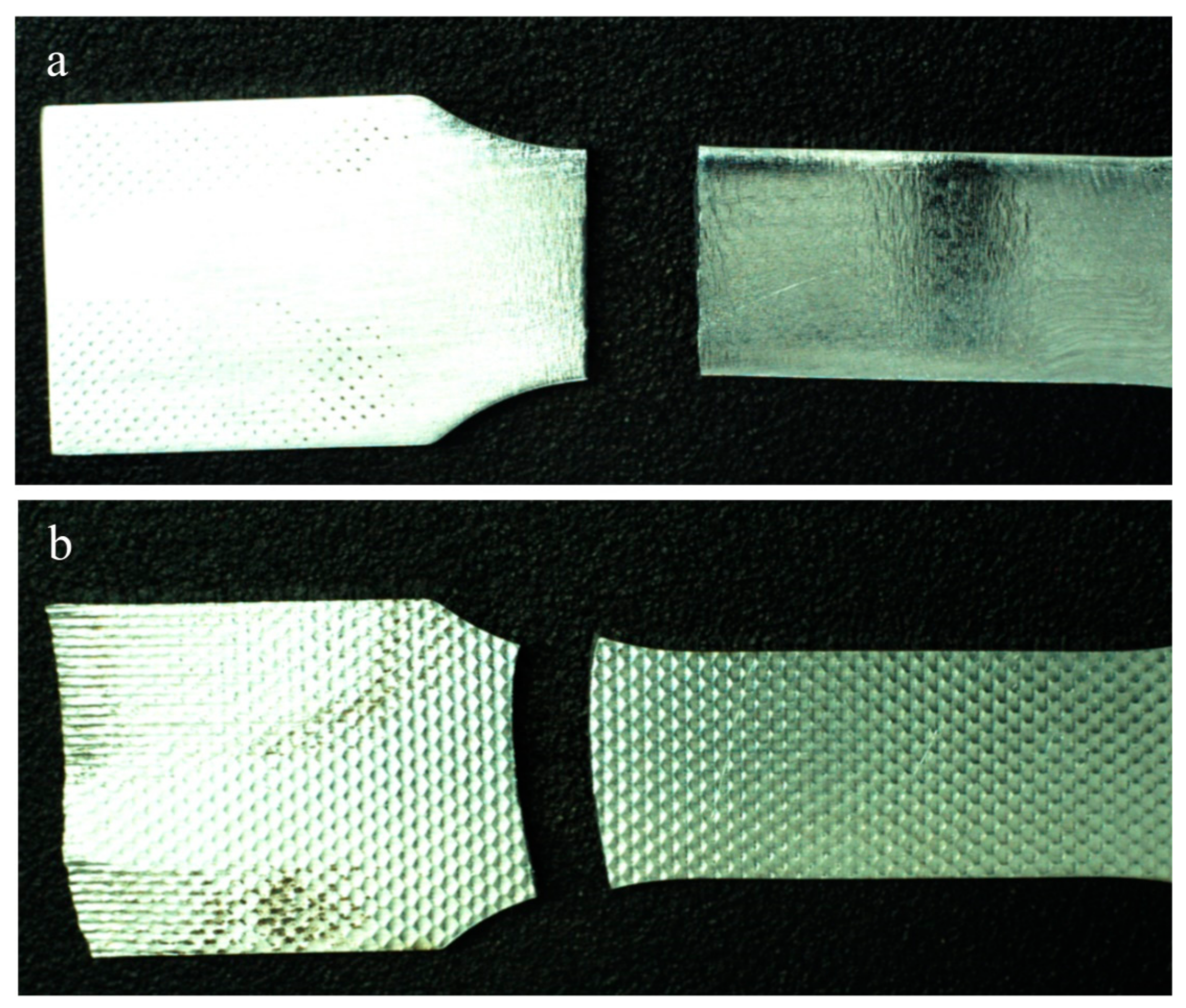 Coatings 12 00327 g008