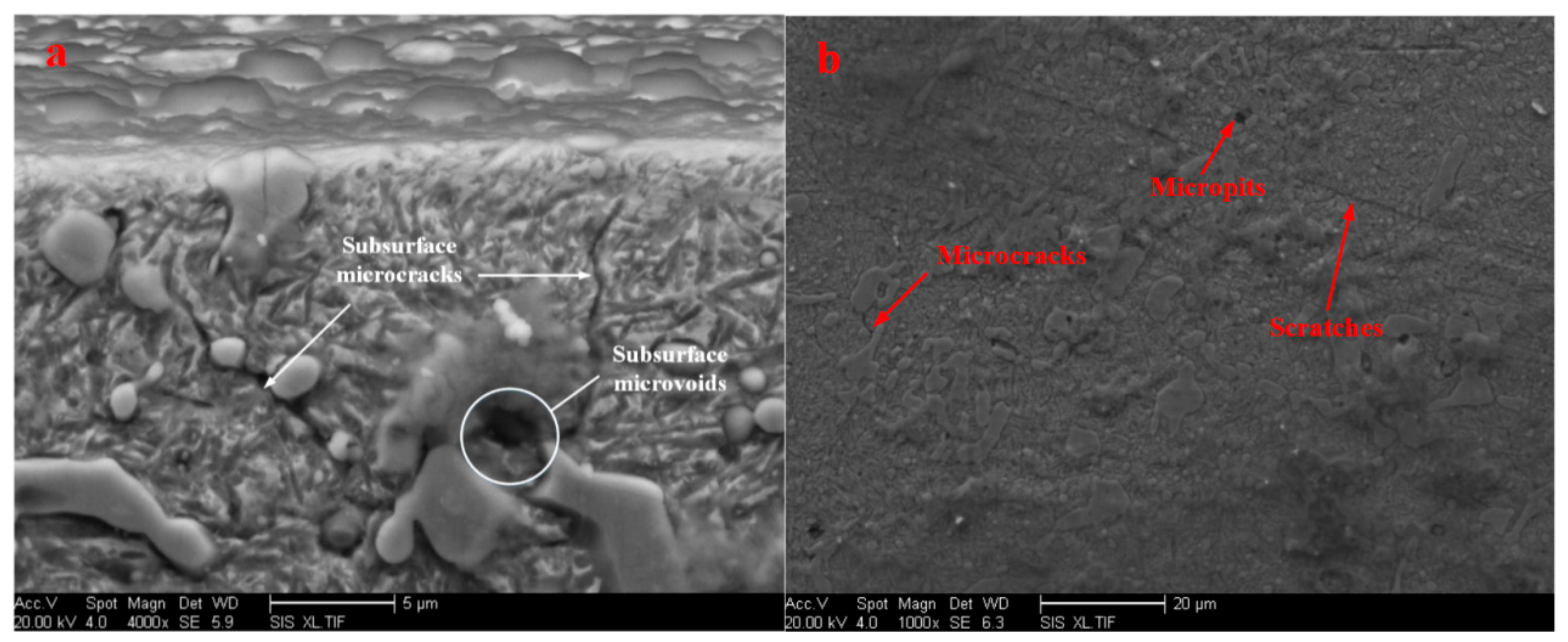 Coatings 12 00327 g012