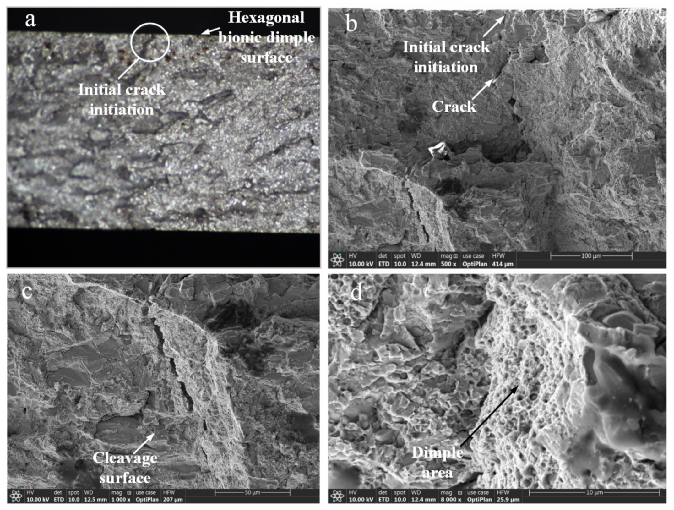 Coatings 12 00327 g013