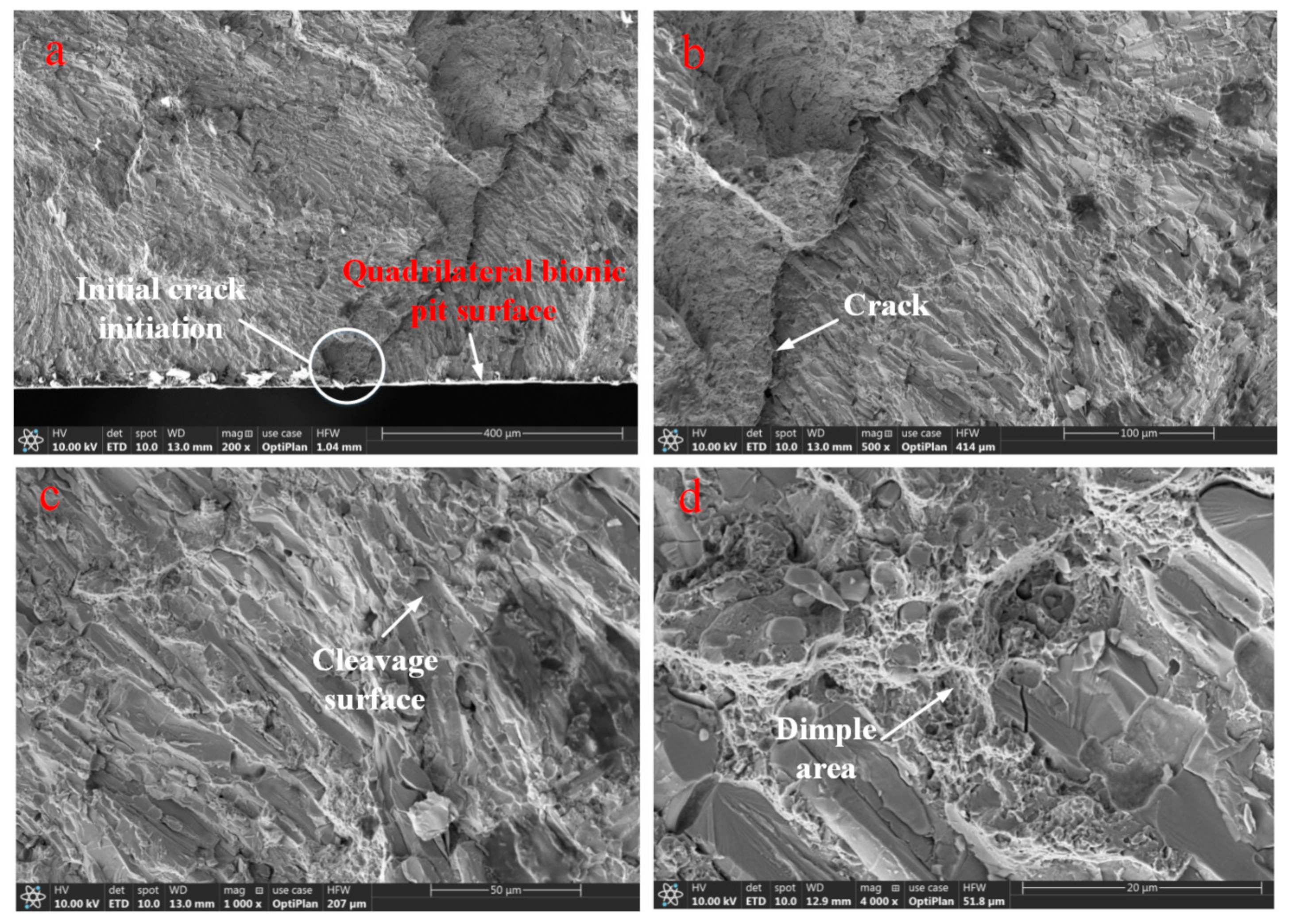 Coatings 12 00327 g014