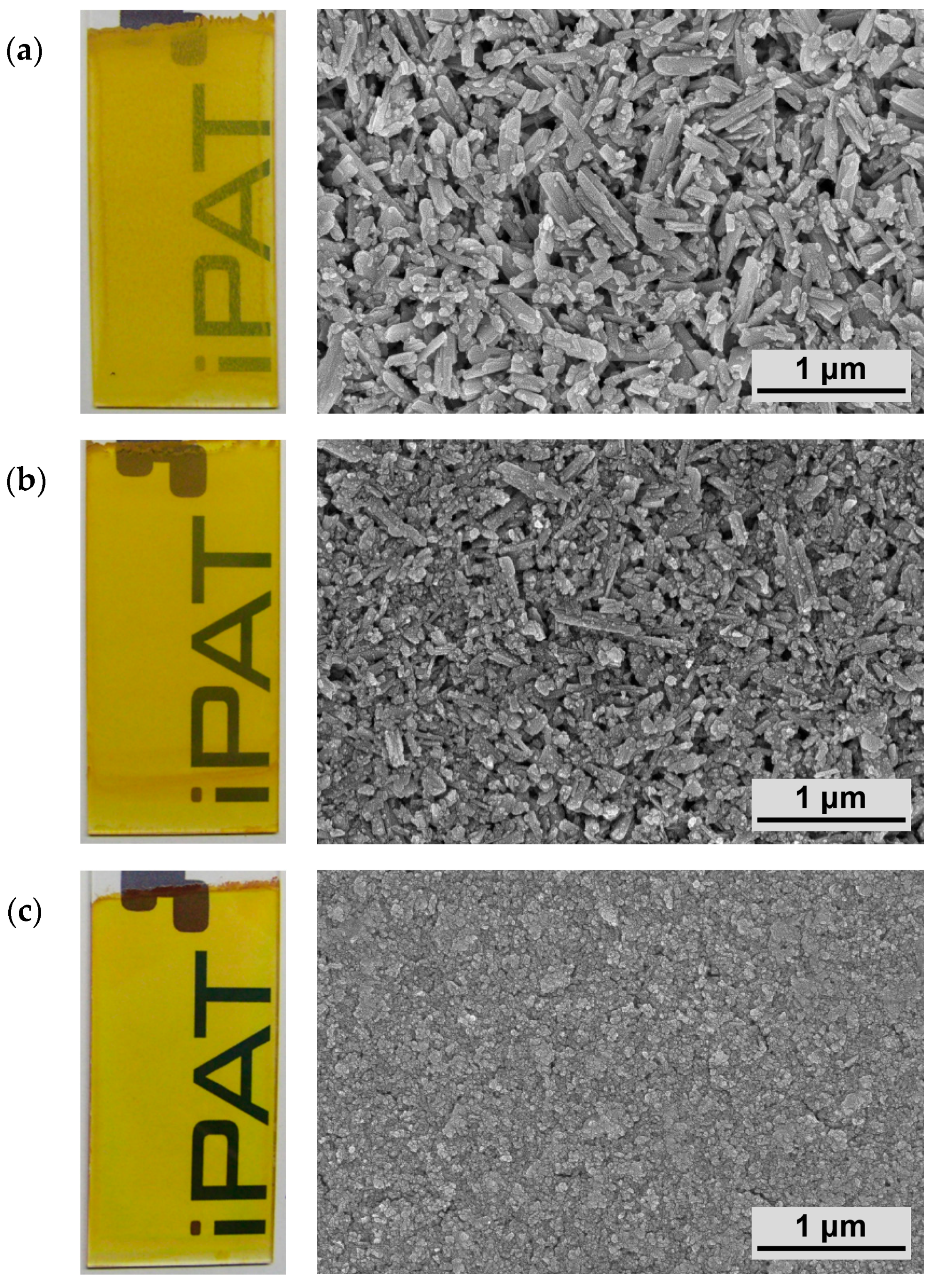Coatings 12 00330 g007