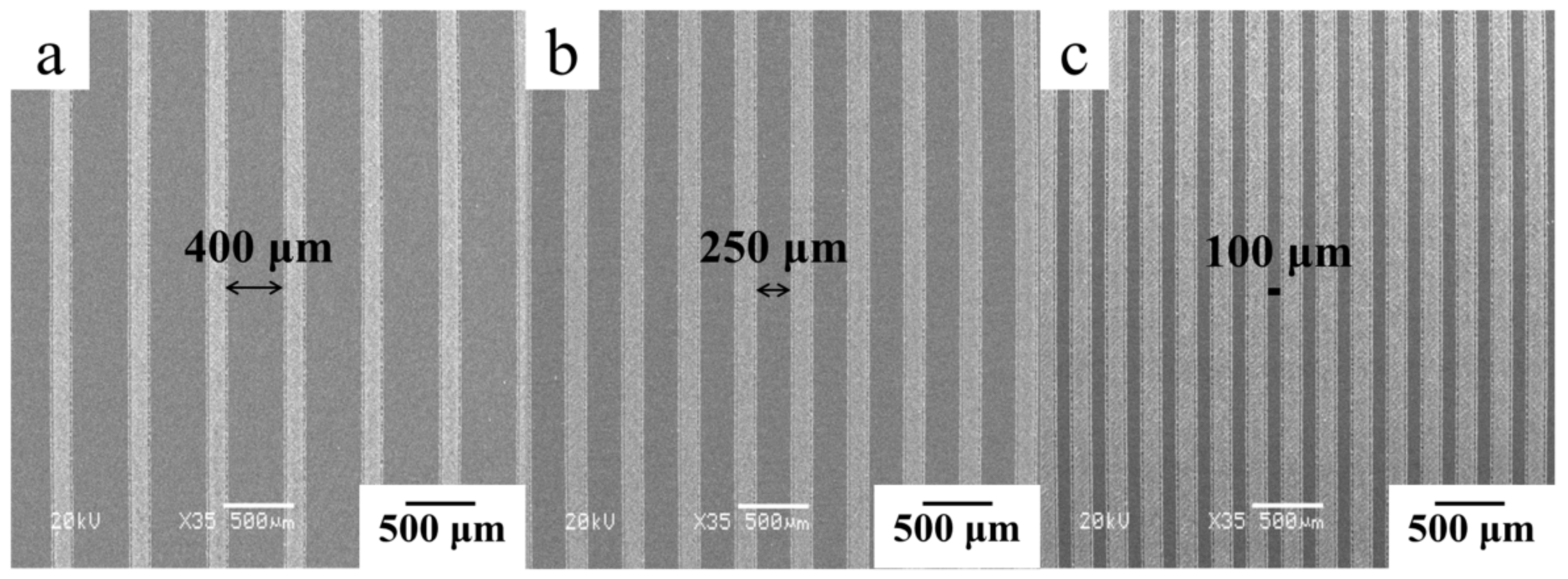 Coatings 12 00332 g001 550