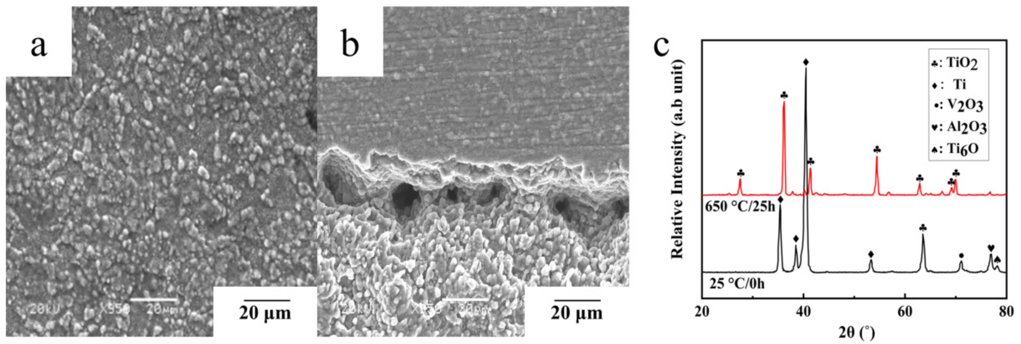 Coatings 12 00332 g002 550