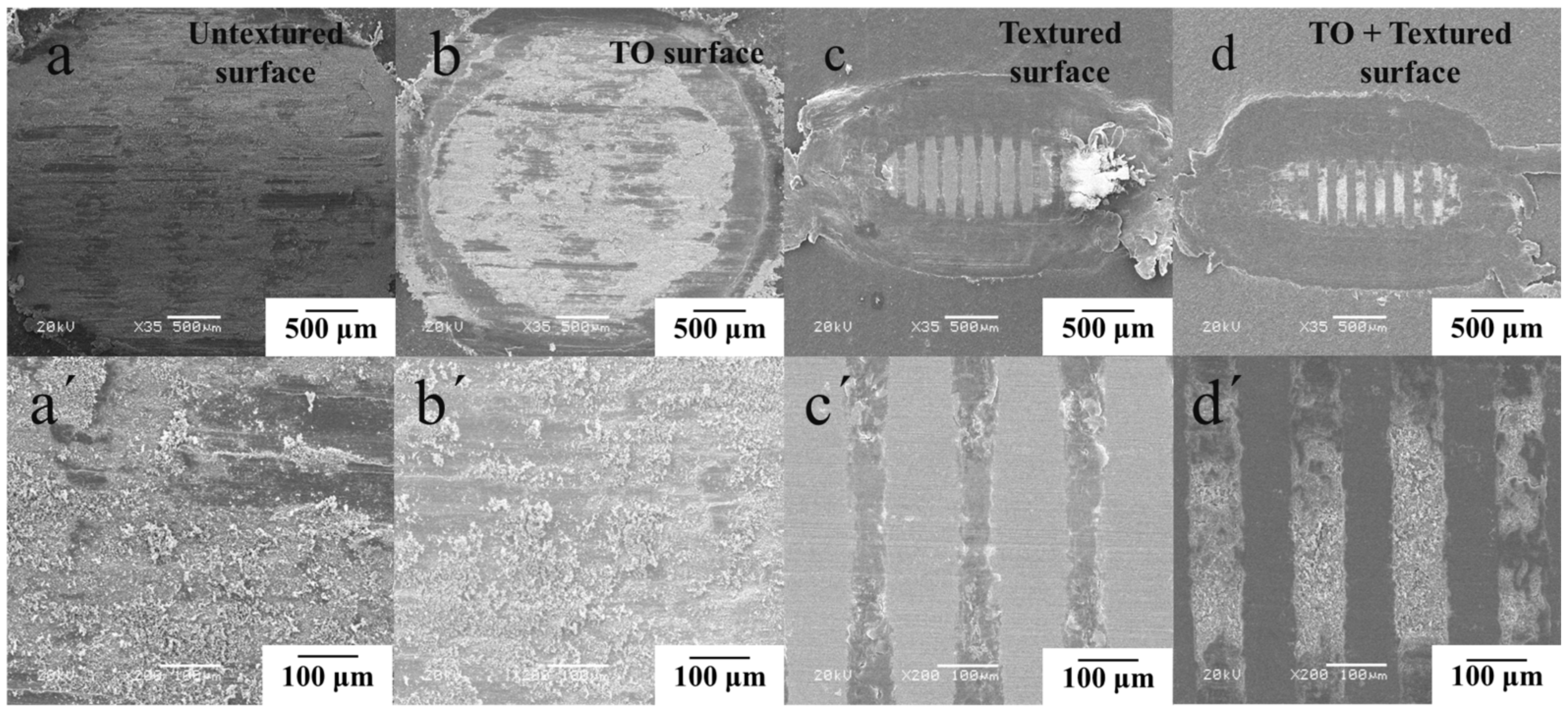 Coatings 12 00332 g009 550
