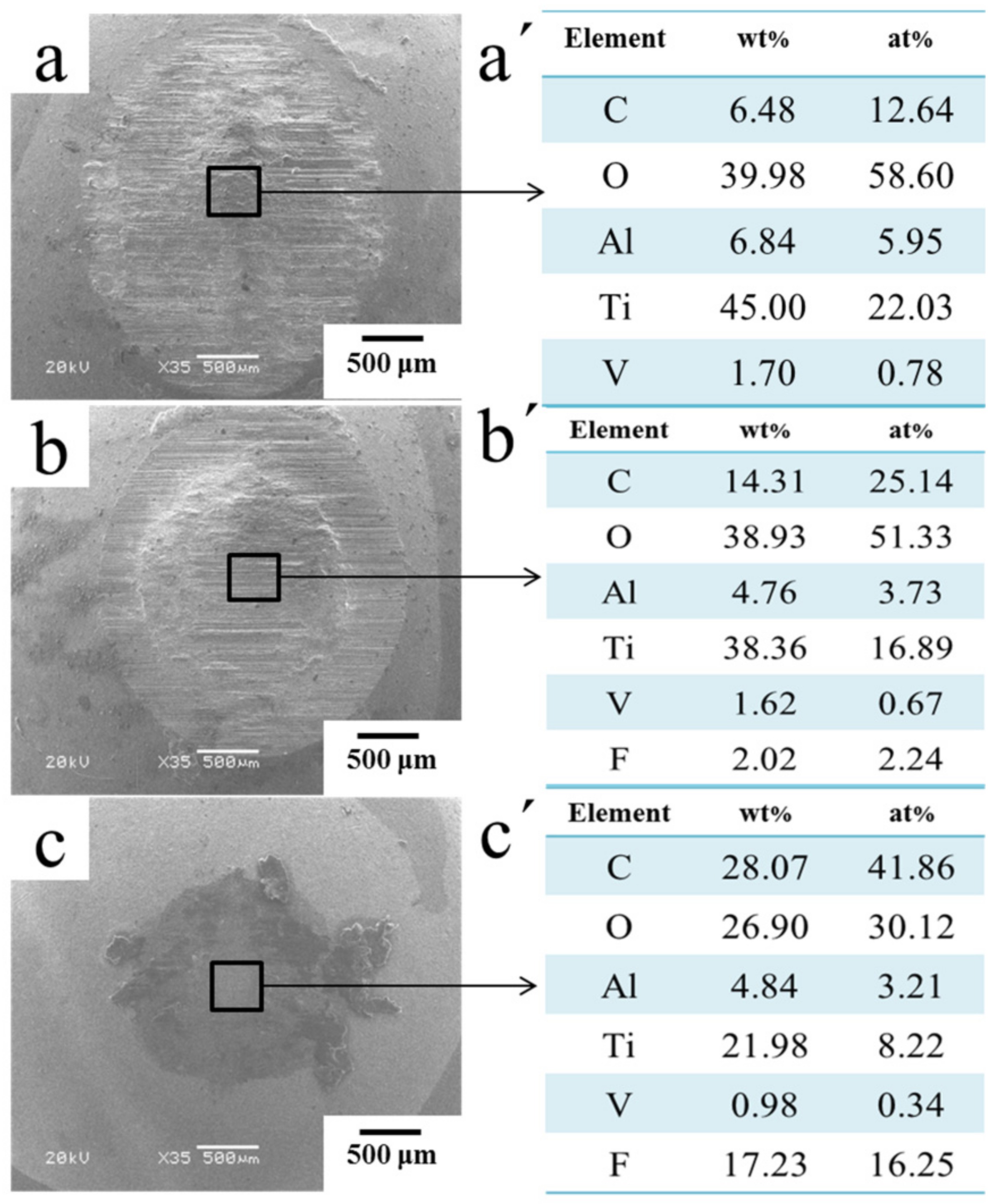Coatings 12 00332 g011 550