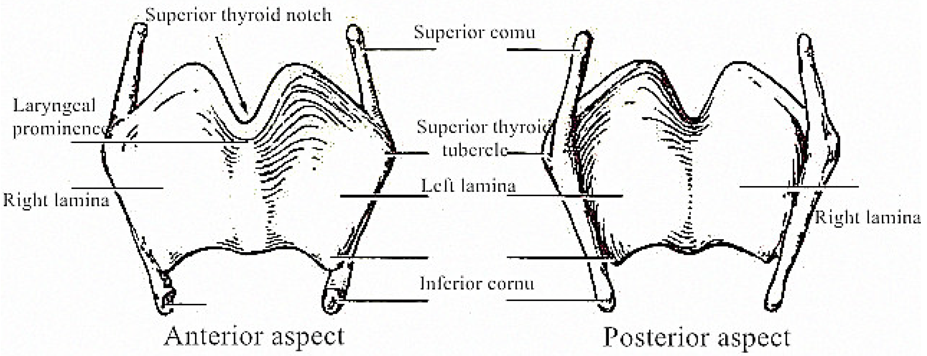 Coatings 12 00336 g002 Coatings 12 00336 g002