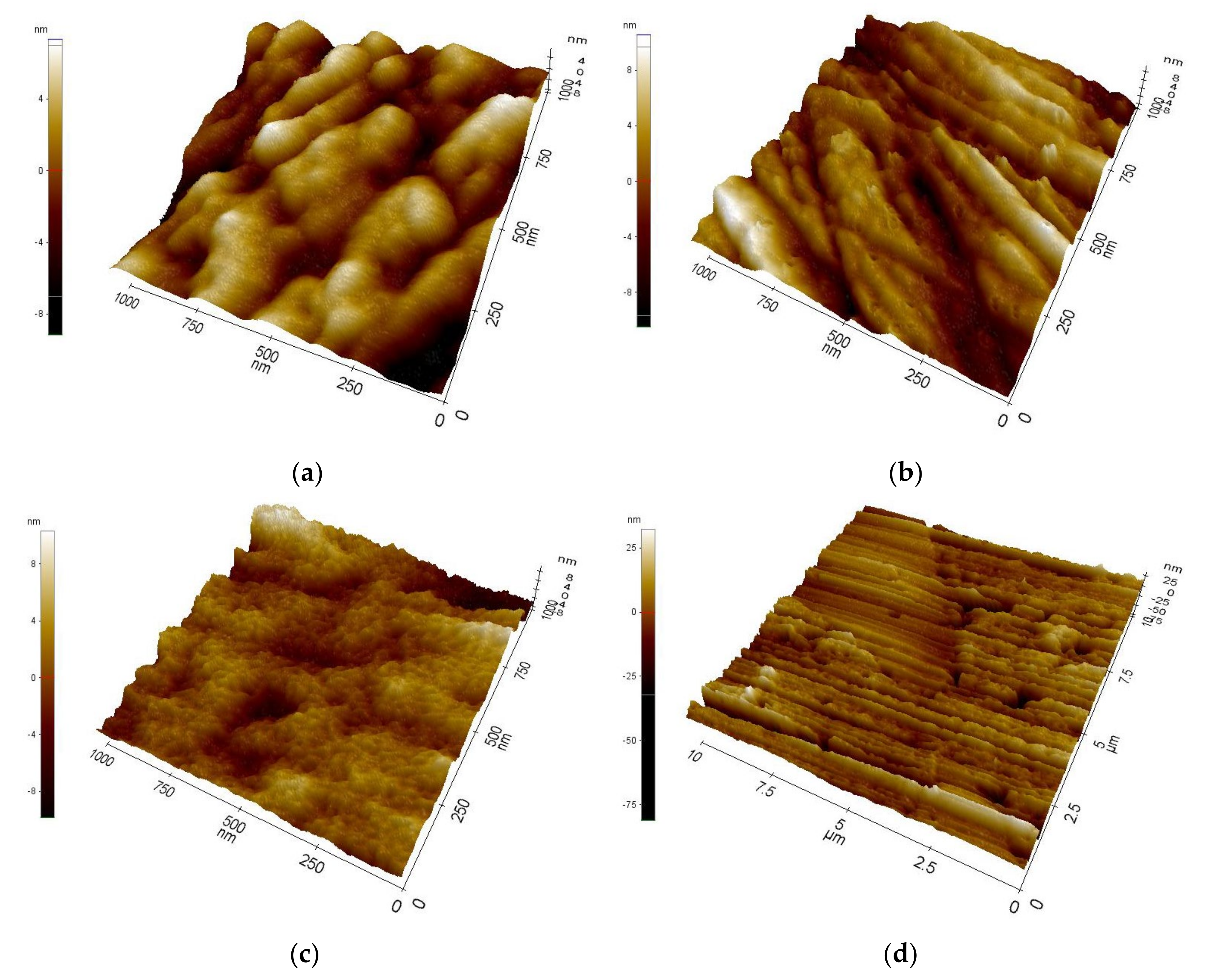Coatings 12 00338 g001 550