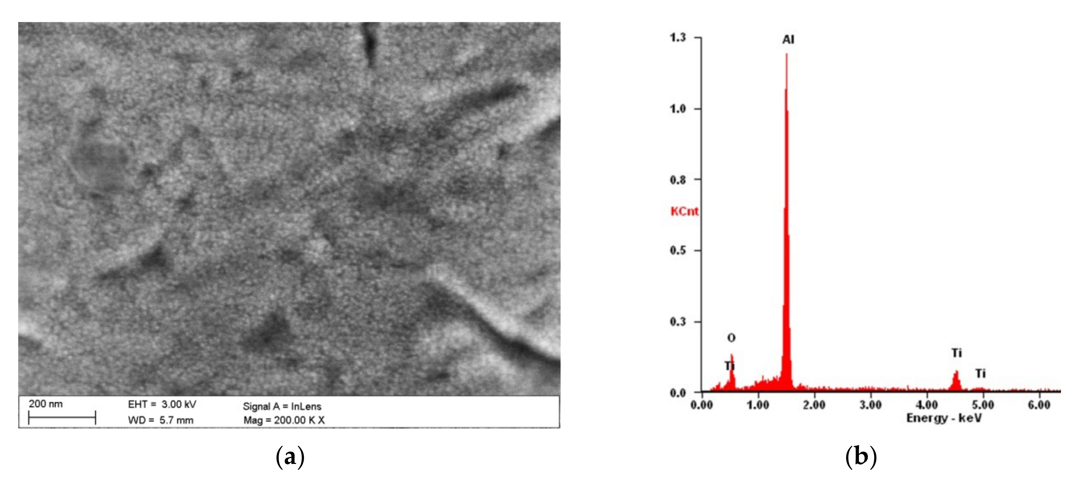Coatings 12 00338 g002 550