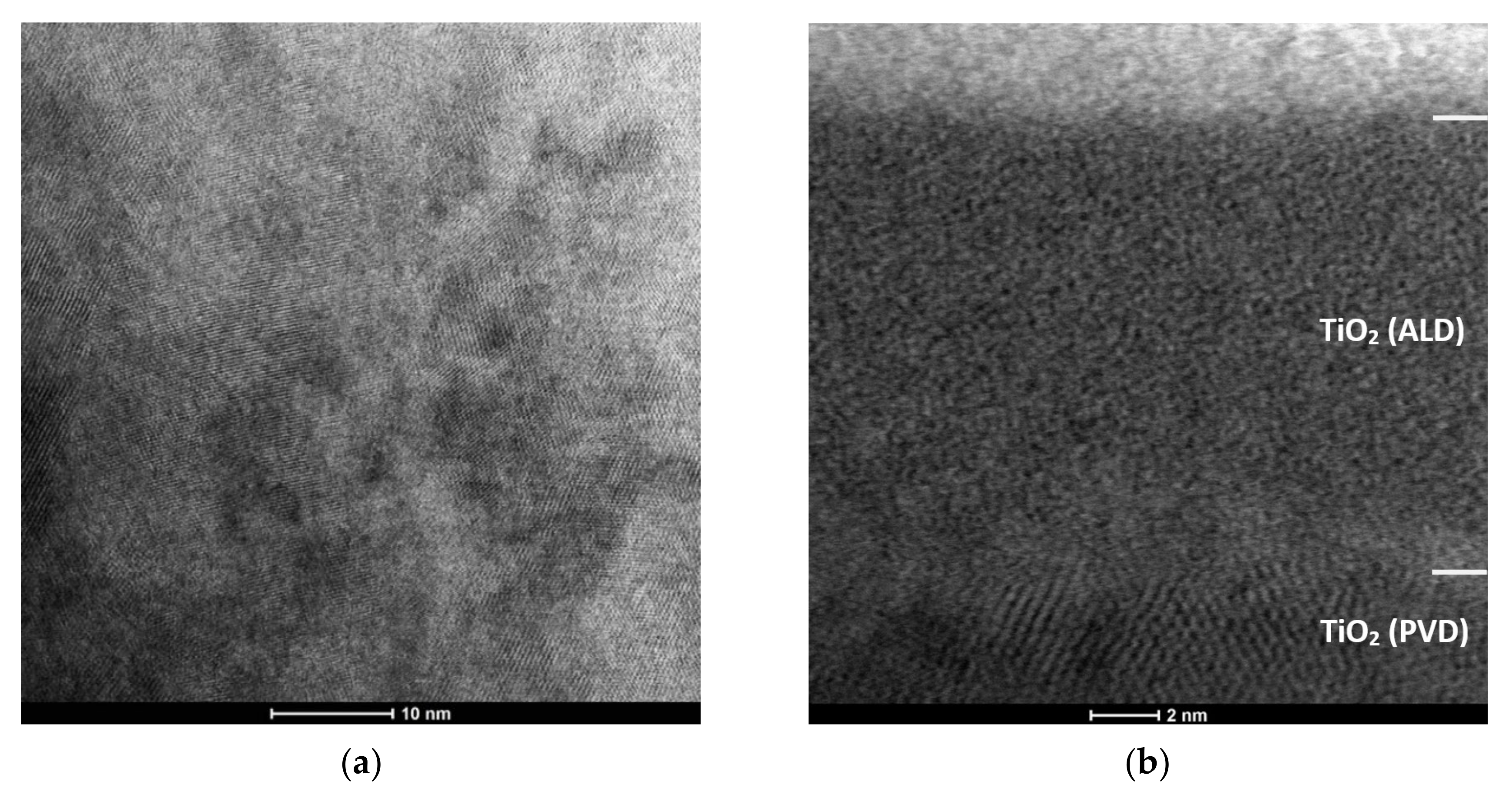 Coatings 12 00338 g003 550