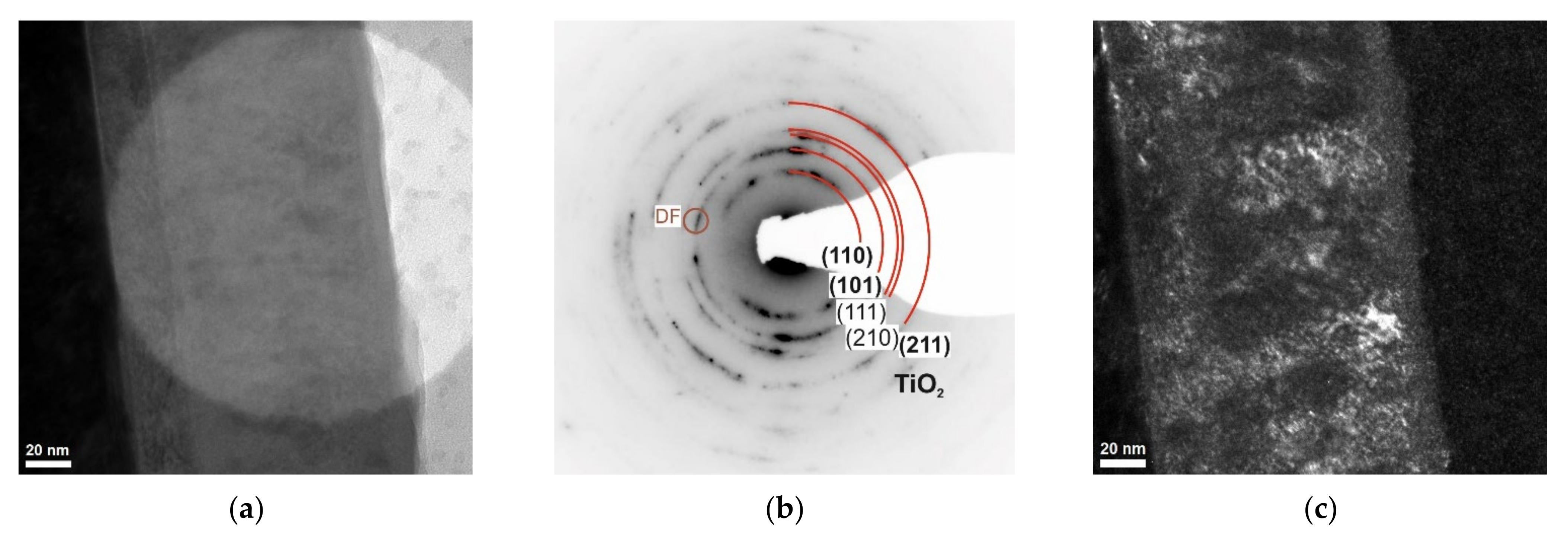 Coatings 12 00338 g004 550