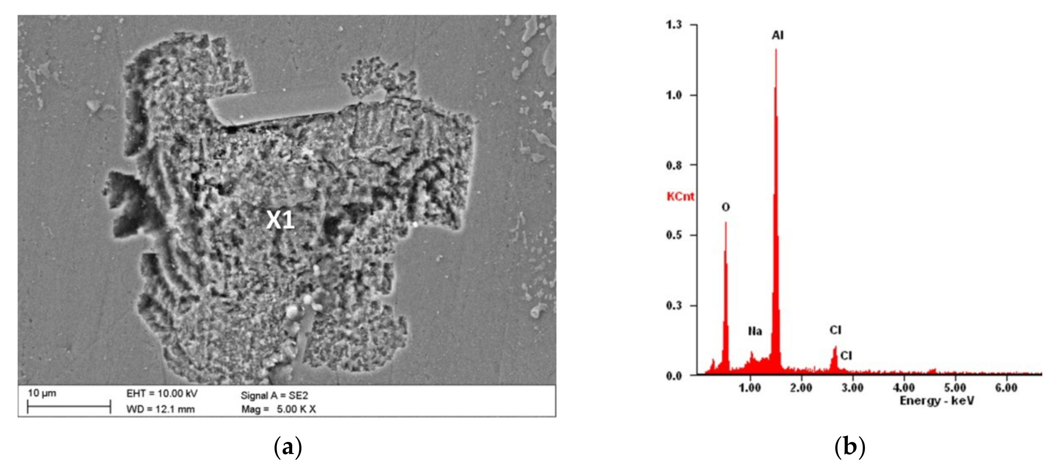 Coatings 12 00338 g006 550