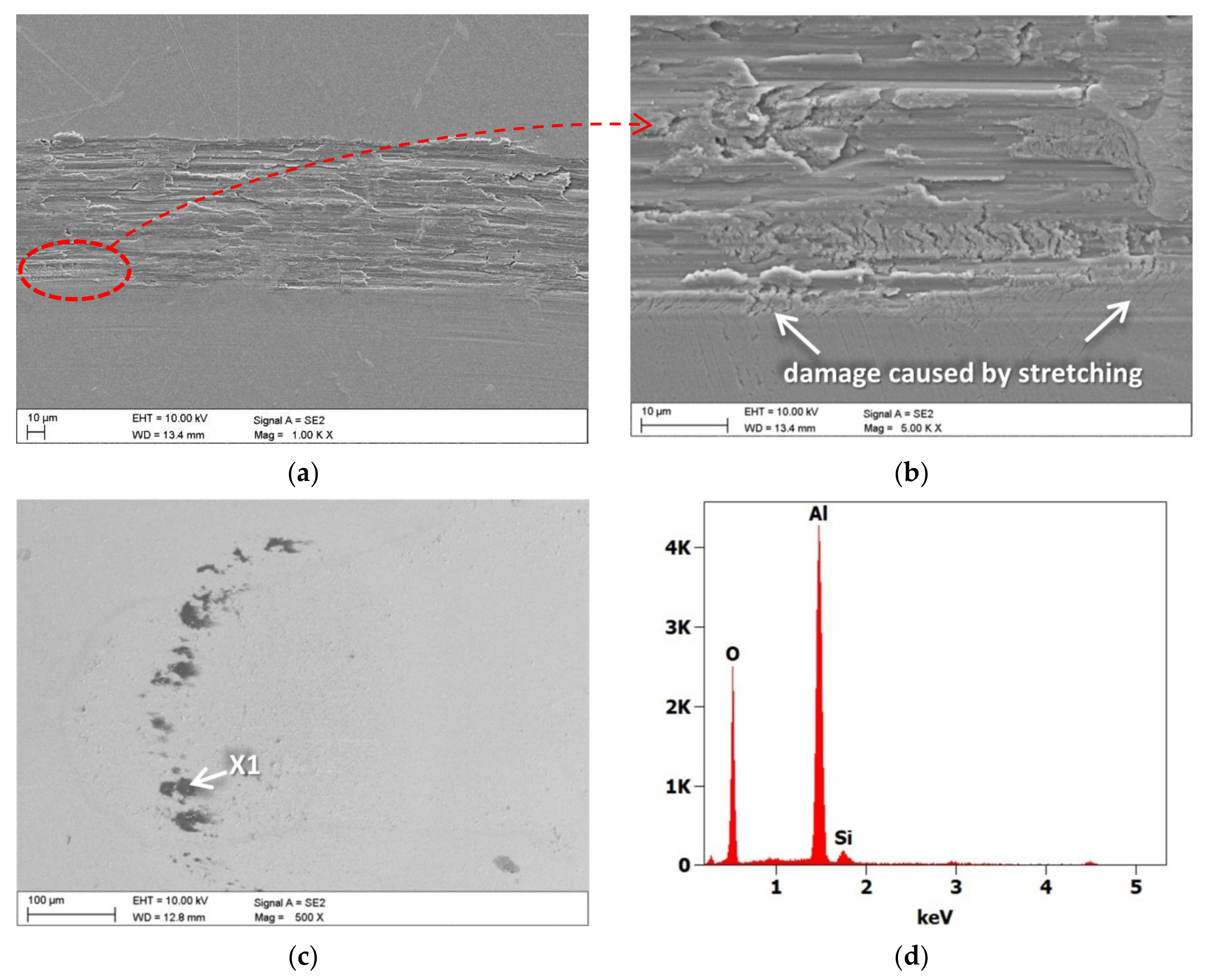 Coatings 12 00338 g012 550