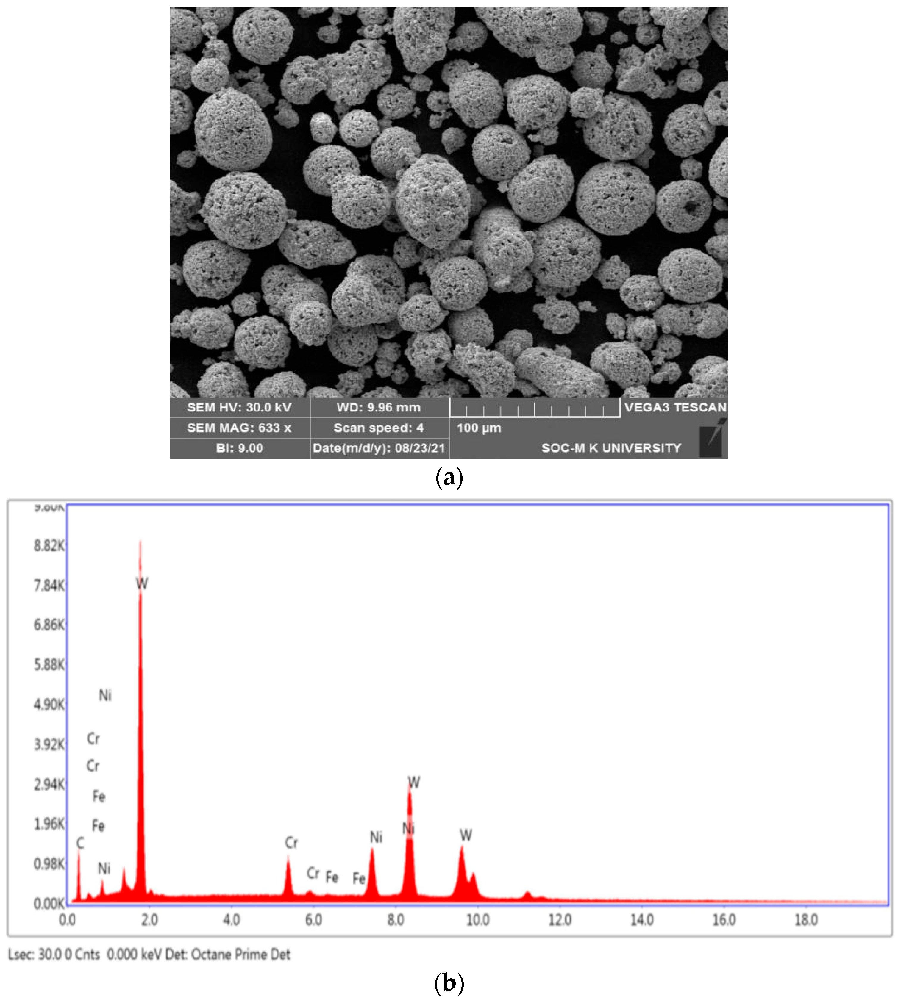 Coatings 12 00339 g001a