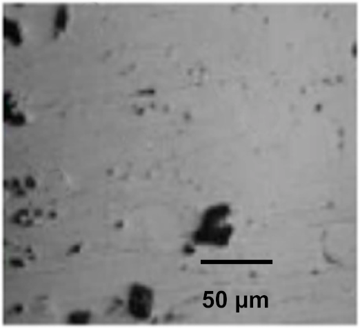 Coatings 12 00339 i001