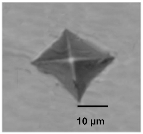 Coatings 12 00339 i003