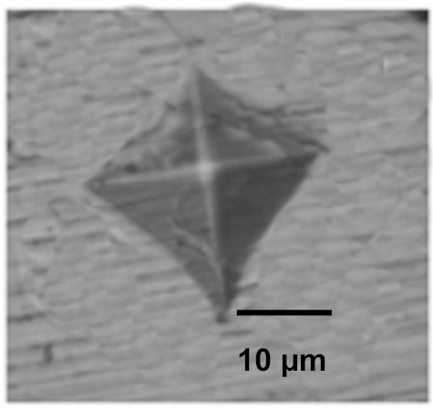 Coatings 12 00339 i006