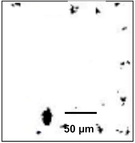 Coatings 12 00339 i014