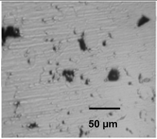 Coatings 12 00339 i016