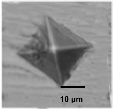 Coatings 12 00339 i021