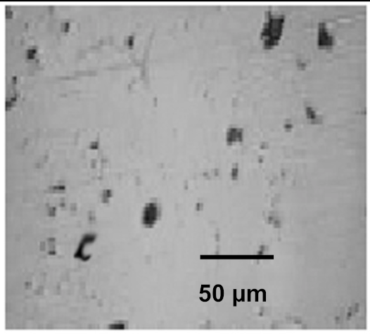 Coatings 12 00339 i022