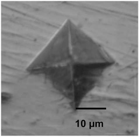 Coatings 12 00339 i024