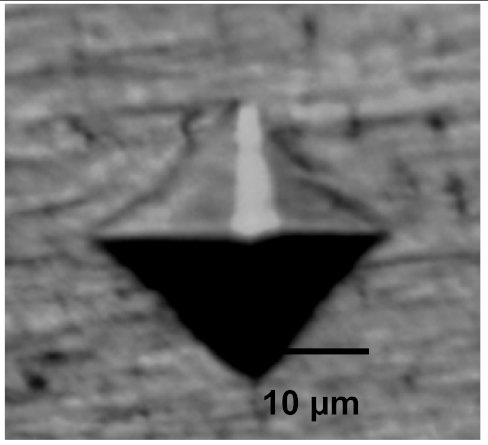 Coatings 12 00339 i027