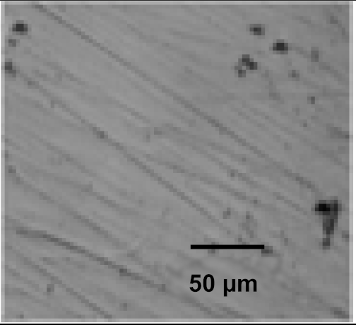 Coatings 12 00339 i028