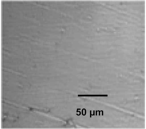 Coatings 12 00339 i034