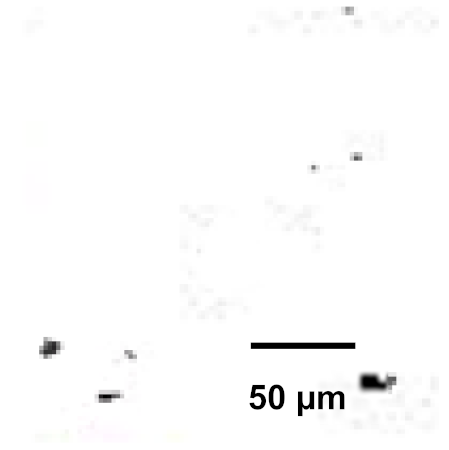 Coatings 12 00339 i035