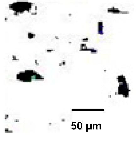 Coatings 12 00339 i038