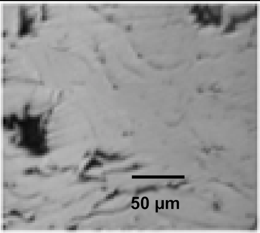 Coatings 12 00339 i040