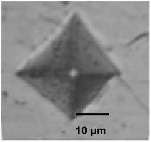 Coatings 12 00339 i042