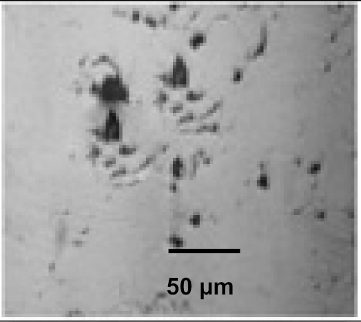 Coatings 12 00339 i043