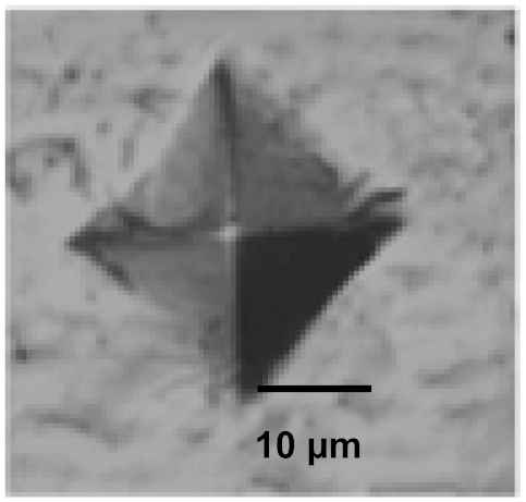 Coatings 12 00339 i045