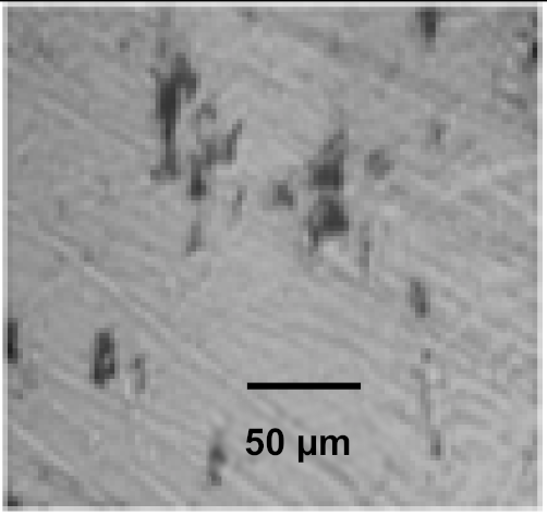 Coatings 12 00339 i046