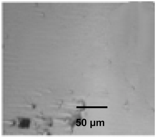 Coatings 12 00339 i049